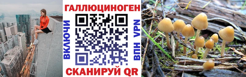Псилоцибиновые грибы ЛСД Уфа